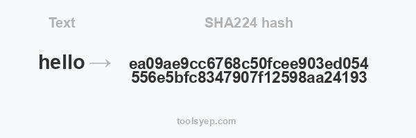 SHA224 hash