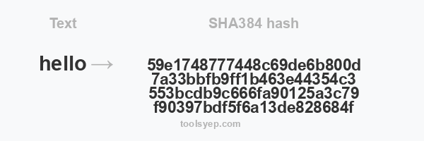 SHA384 hash